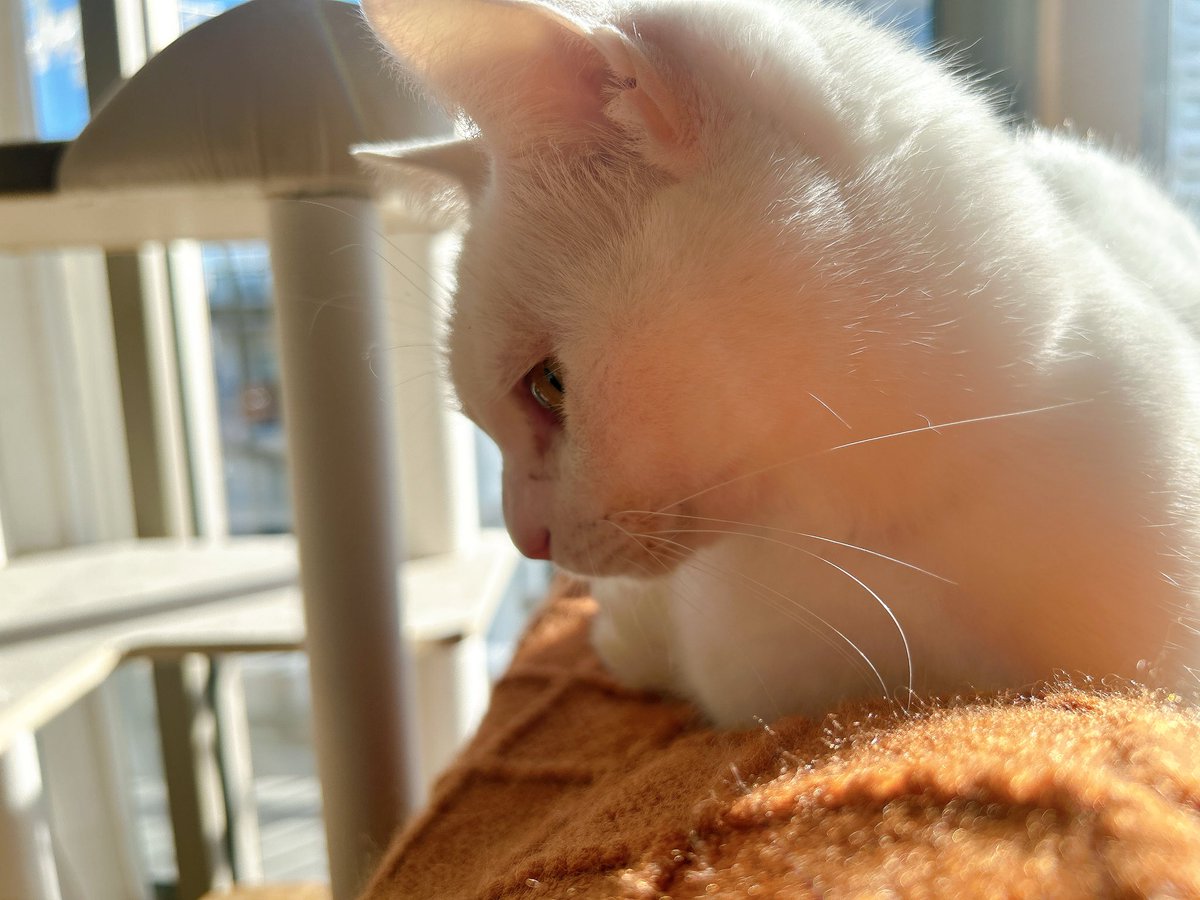 みるきー (@milkyma2) / Posts / X