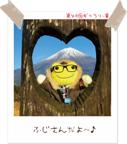 かえるのピクルス/pickles the frog (@picklesthefrog6) / Posts / X