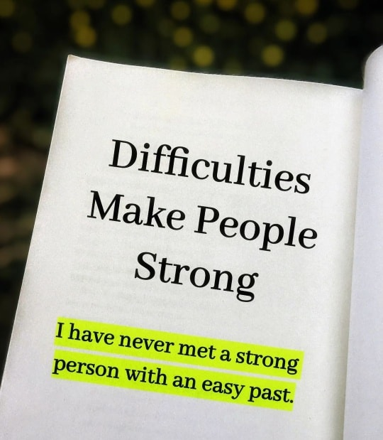 Mindful Maven tweet media