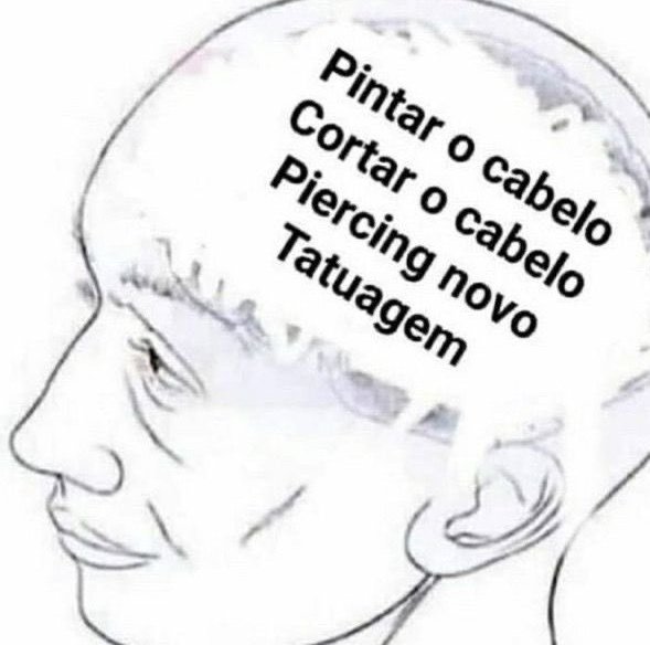 teu caos tweet media