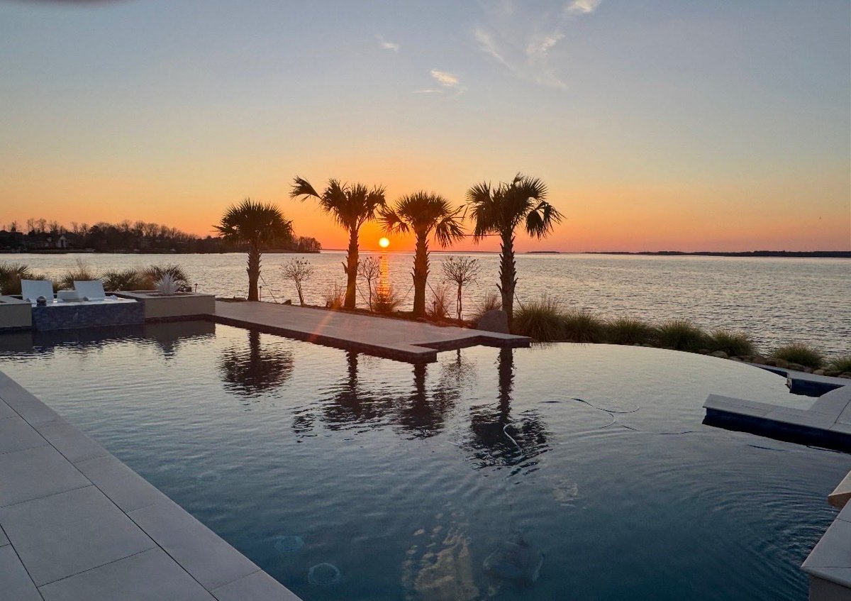 Will Muschamp tweet media