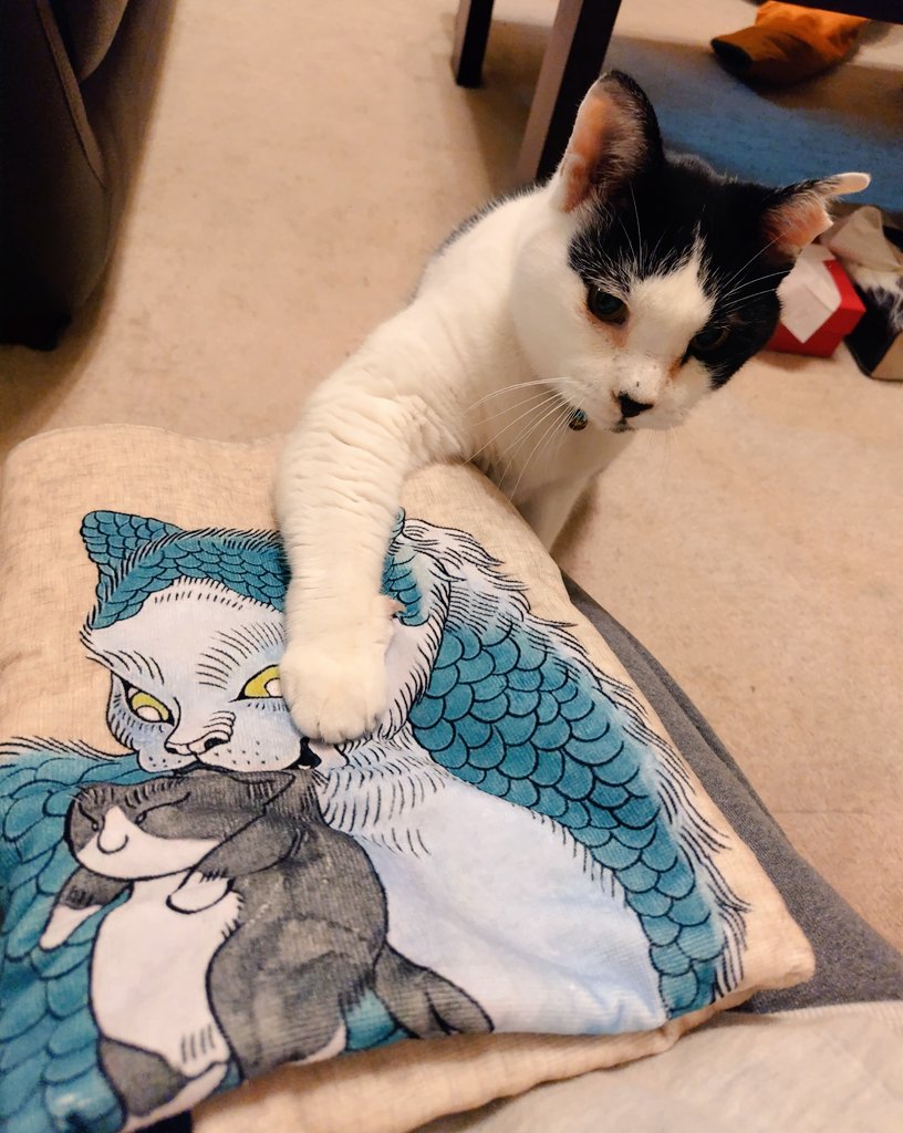 イソベサンタ アニマルサンタ ネコ 黒白 イソベサンタ アニマルサンタ ネコ 黒白 イソベサンタ アニマルサンタ