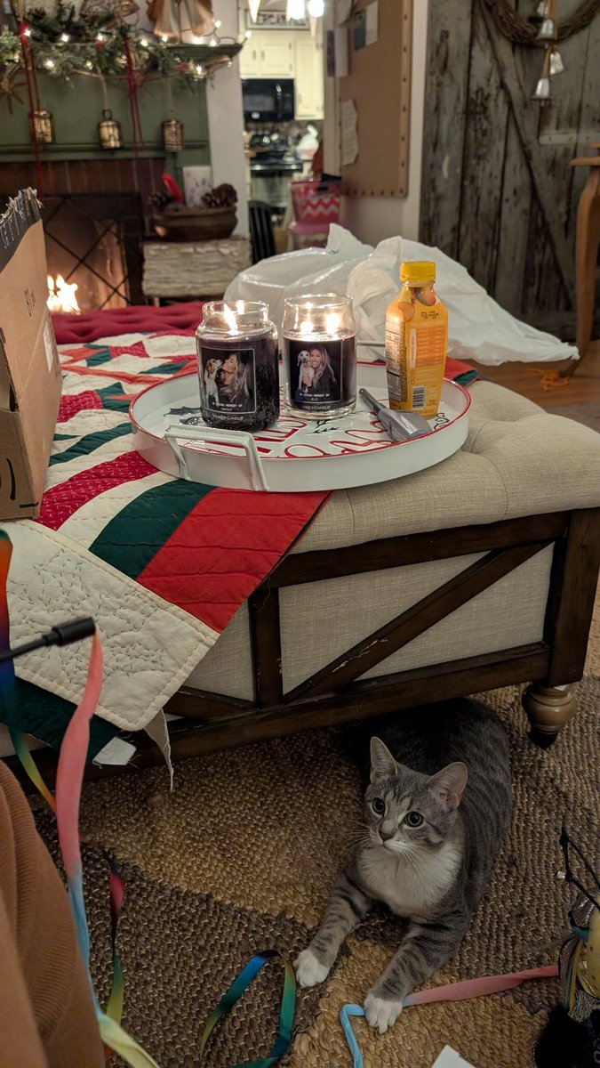 Jello and Hankface 🌈🌈😇😇 tweet media