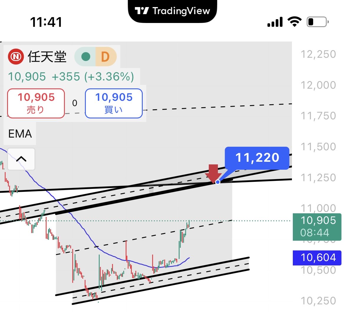 INTJ式経営者🦜ウロコインコで解説 (@gamekotachi) / Posts / X