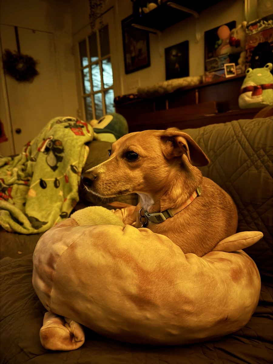 noise beneath the floor tweet media