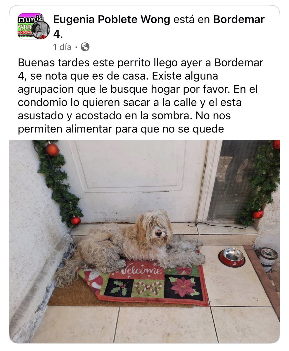 zig1758's tweet photo. 🆘🆘🆘🆘🆘🆘🆘🆘🆘🆘🆘🆘🆘#Antofagasta https://t.co/ZuzScCU1q3
