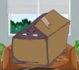 woomycam05's tweet image. Happy recomposing boxing day, everyone.