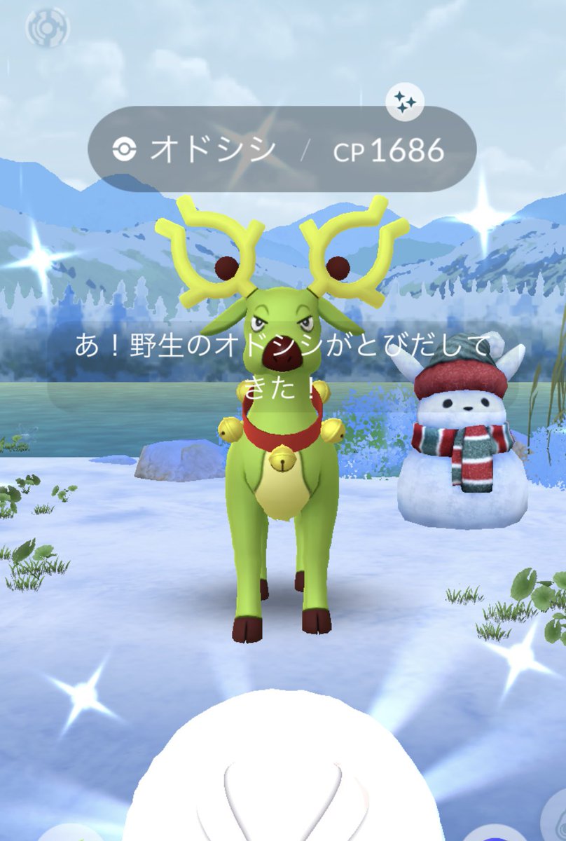keikaji's tweet photo. 寒すぎて、体調と顔色悪いようです❄️ https://t.co/4IgAyccWW2