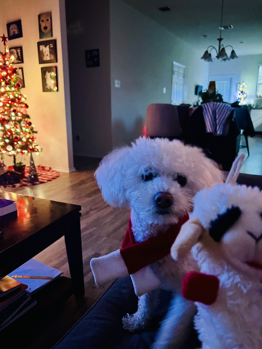 Trekin's tweet image. Twinning ❤️🤍