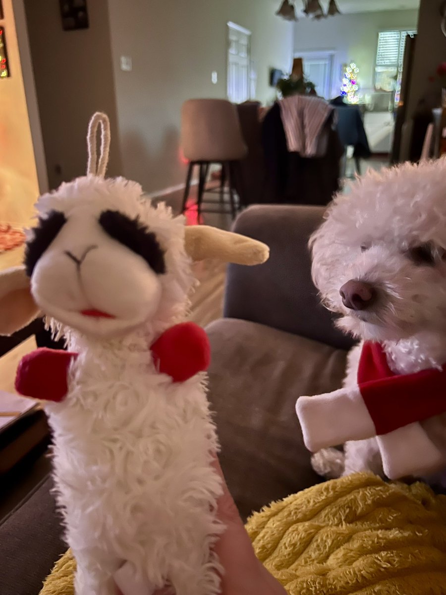 Trekin's tweet image. Twinning ❤️🤍