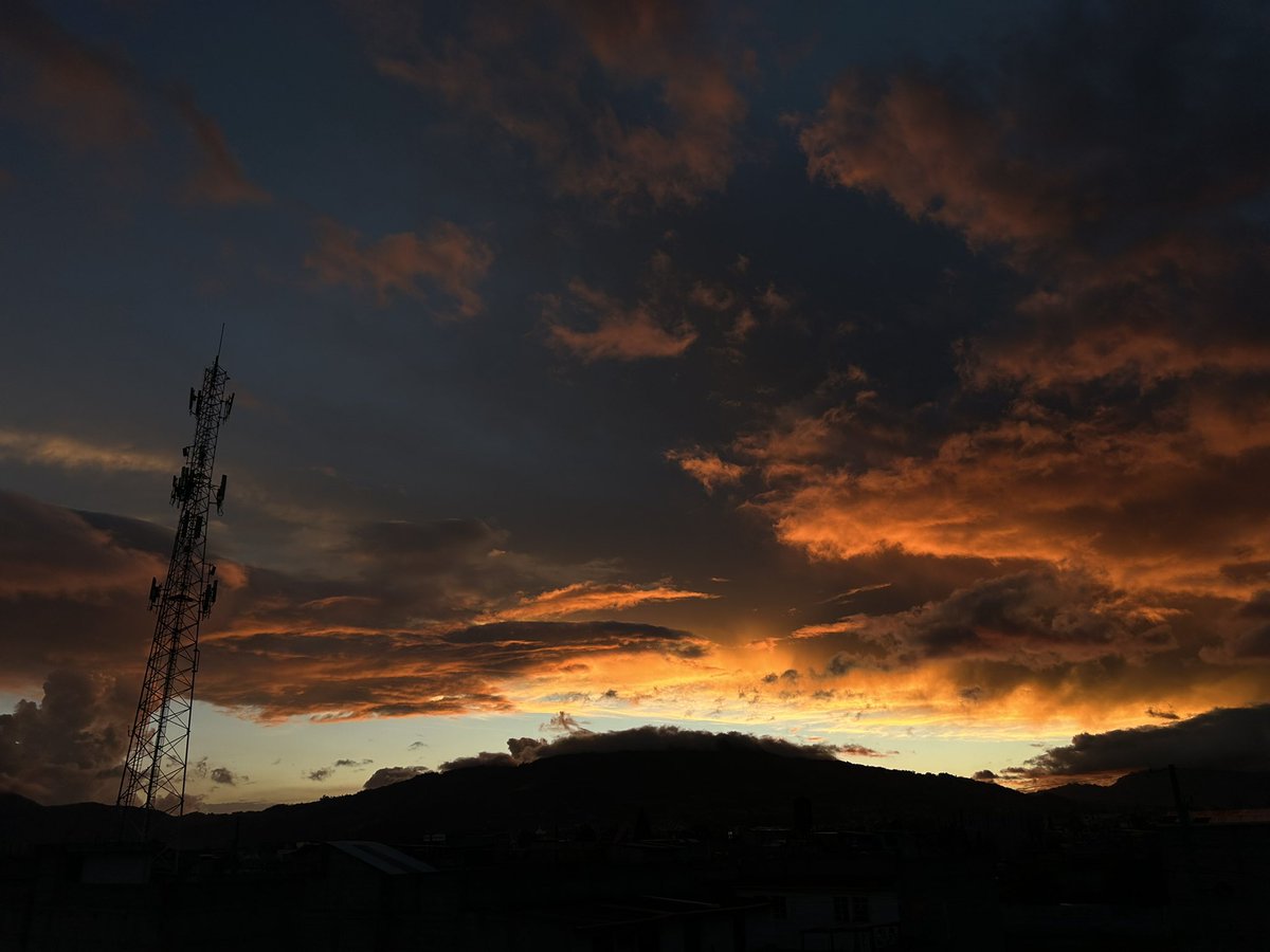 Suamy ✿ tweet media