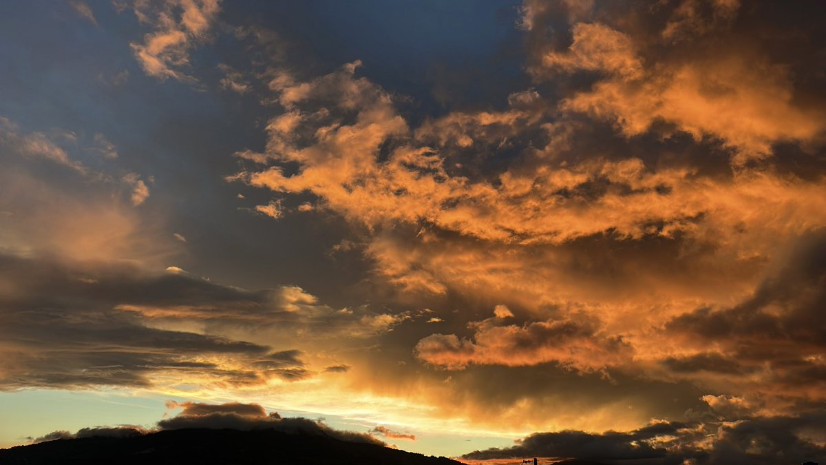 Suamy ✿ tweet media