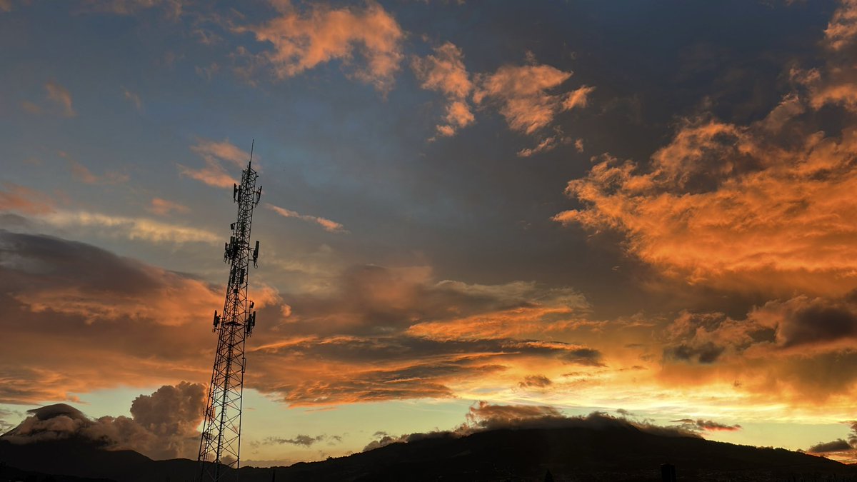 Suamy ✿ tweet media