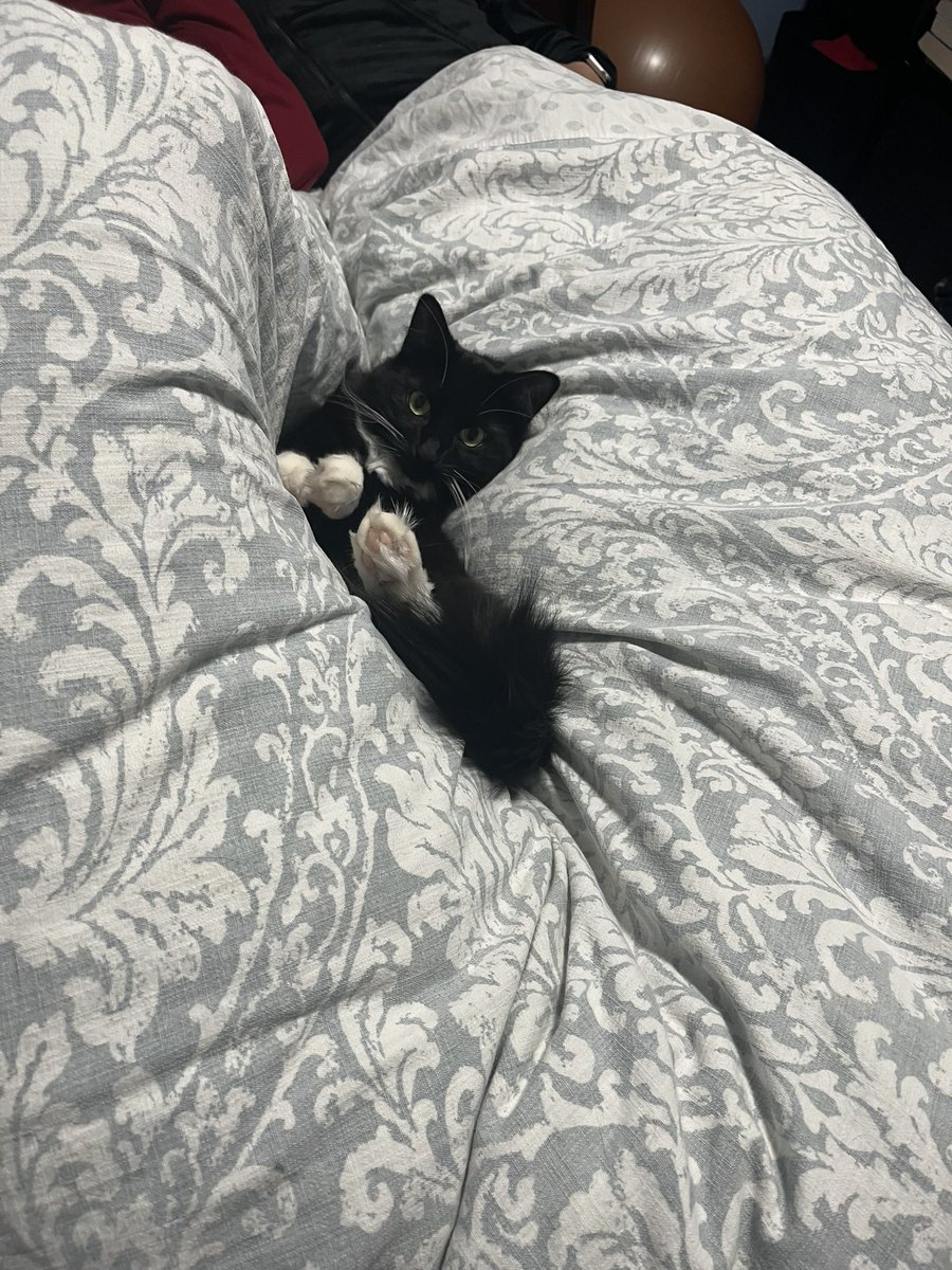 Ernest Boehm plays Kawai & Steinway Pianos 🎹 tweet media