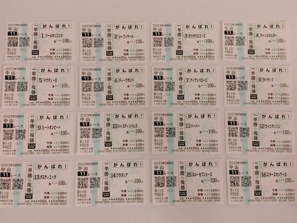 応援馬券を全頭買いした、2年前の有馬記念🐴