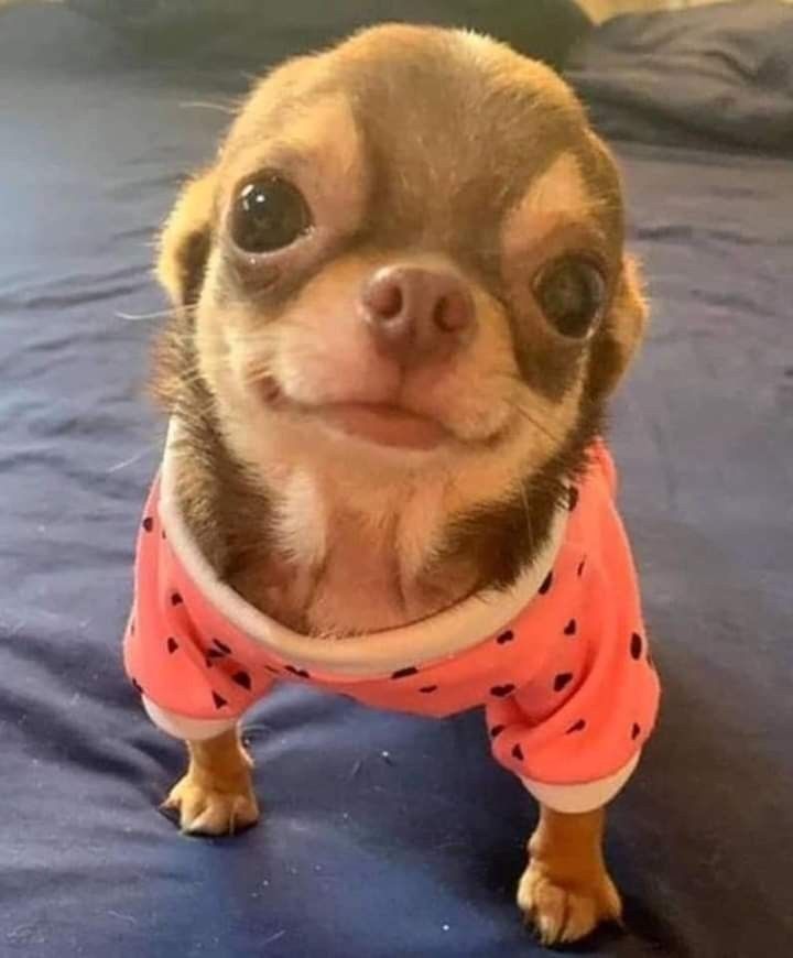 Andyy_Bat's tweet photo. @verissimoxse Oie voce me marcaria https://t.co/3vZ4HzkF7n