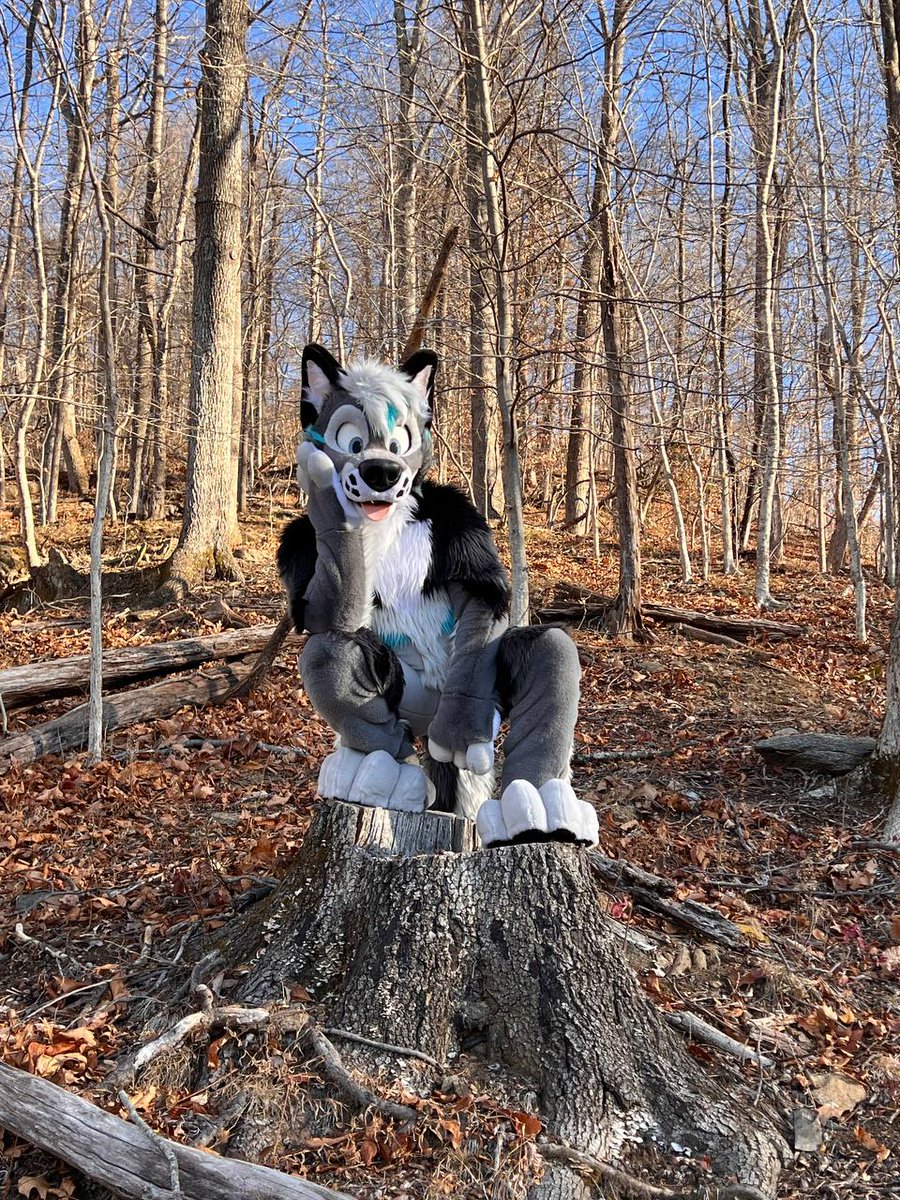 _Uro's tweet image. What's your favorite perch style?