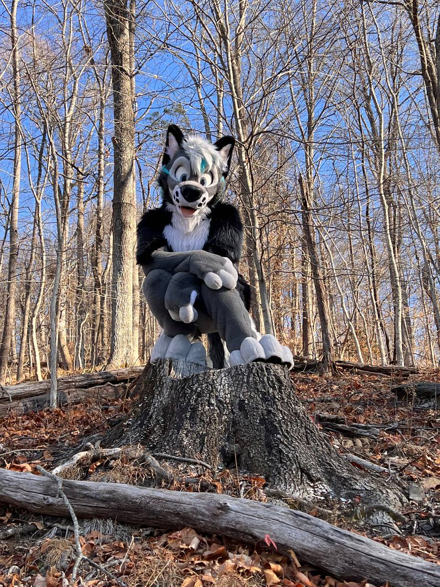 _Uro's tweet image. What's your favorite perch style?