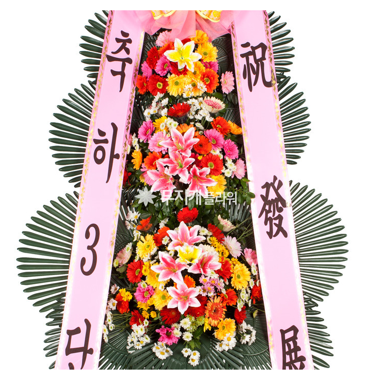 🌸 무지개플라워 🌸

🎉 3단 화환 100,000원 → 59,000원 특가!
🚚 무료 배송

✨ “화환은 보내는 분의 정성입니다” ✨
저렴한 가격, 높은 퀄리티로 만족을 드립니다.

📞 문의전화 : 1688-0034
🌐 홈페이지 : 16880034.co.kr

✅ 계산서 발행 가능
✅ 기업체 월말 결제 가능
✅ 전국가능