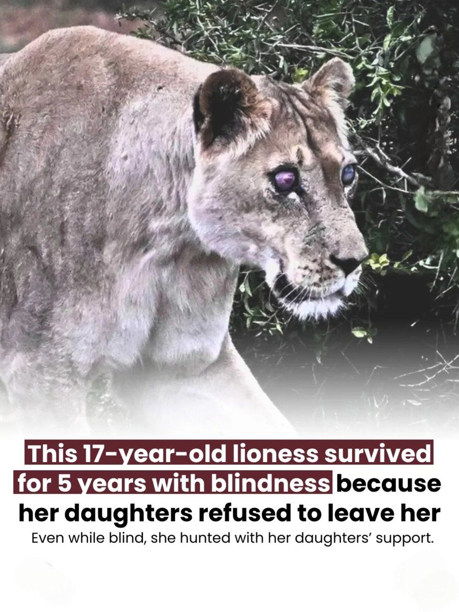 worldranking_'s tweet image. 