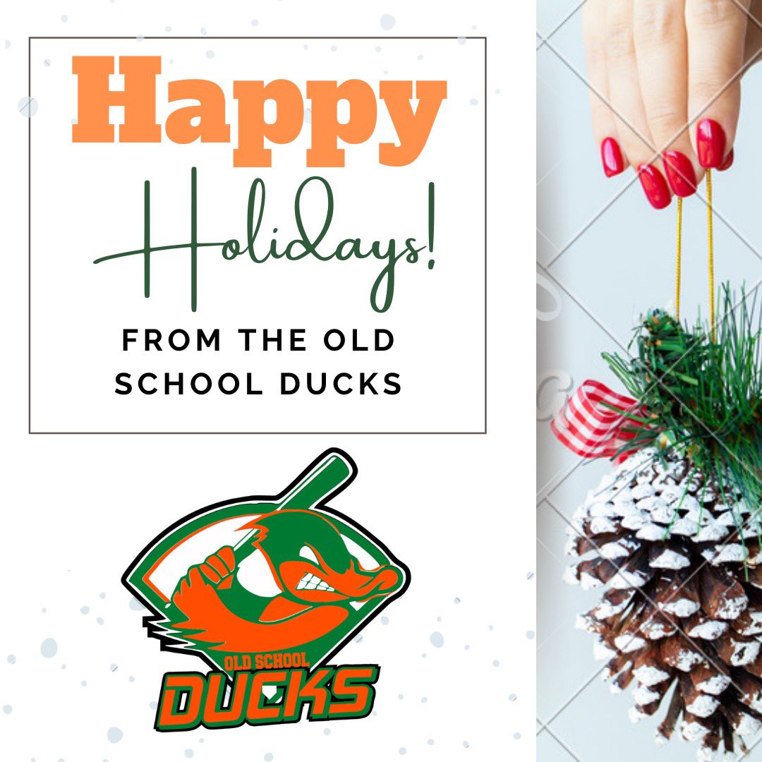 Old School Ducks tweet media