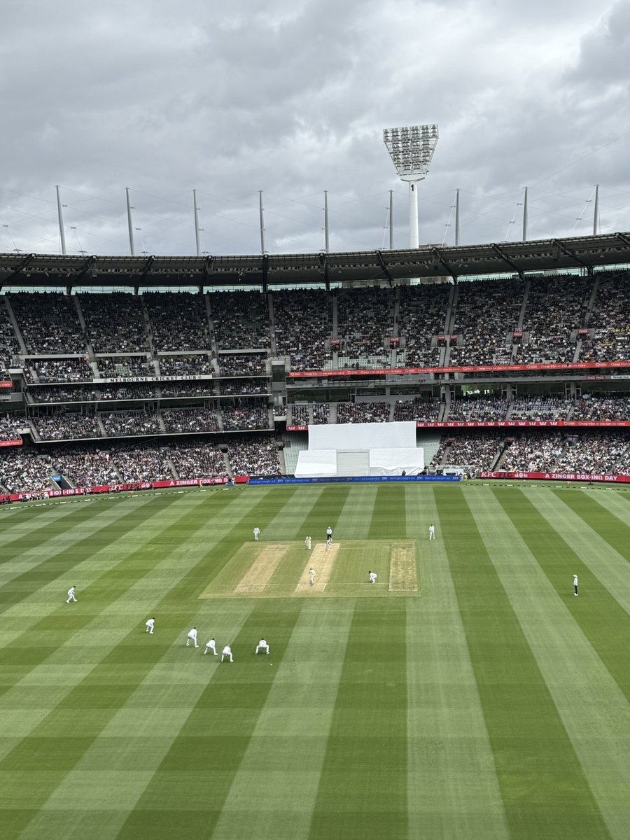 #ashes My view