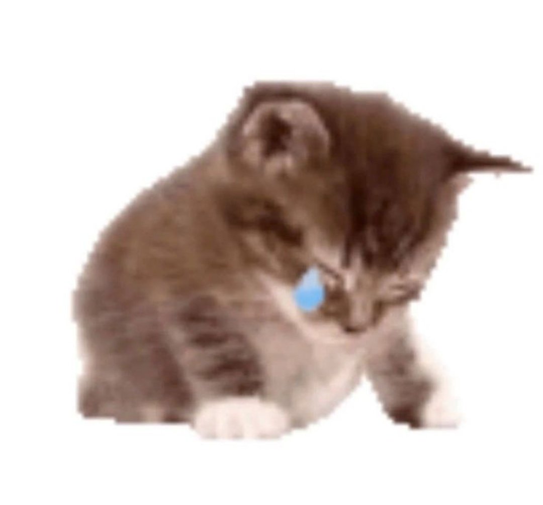 httpscampos's tweet image. deus por favor tire essa vontade imensa q eu to de fazer um vestido de croche 😭😭😭😭