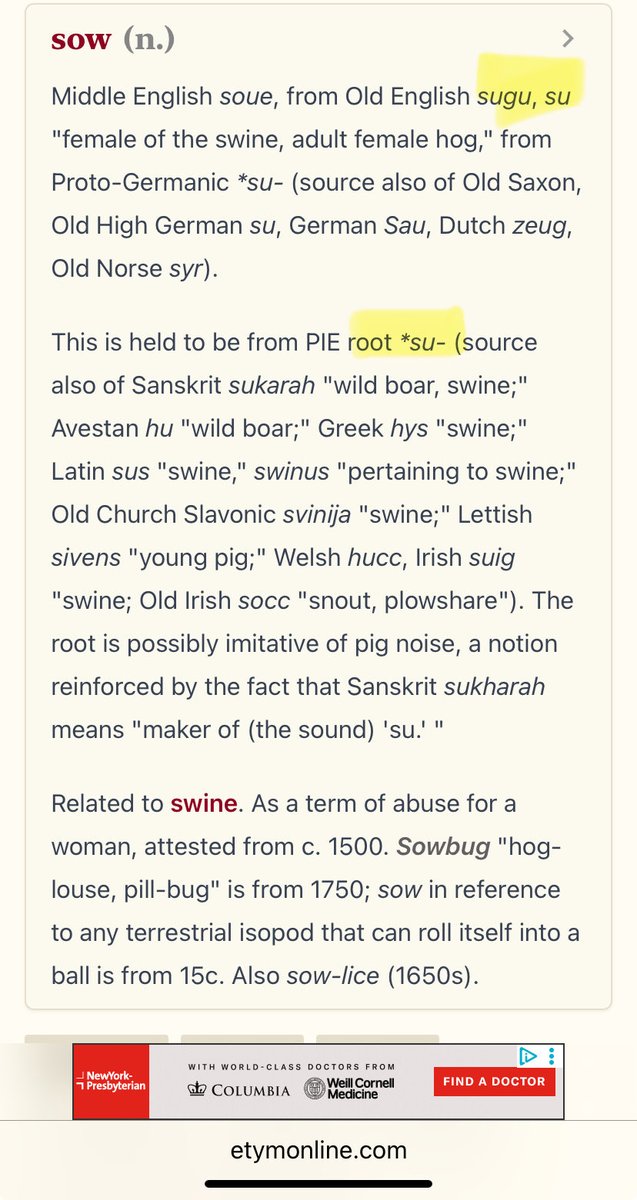 CaeJak's tweet photo. @PBBoxIsHere Due to both #Matthew &amp; #Luke 8:32-33 (&amp; experience with the “pharmaceutical” “industry” &amp; #DefensiveDysregulation ),
I’m convinced that su-cide is
“death by demon”.

Not sure when #Judas could have been infiltrated but 🤷‍♀️
that’s the only explanation
I’ve been able to muster. https://t.co/d3jg7CV4j5