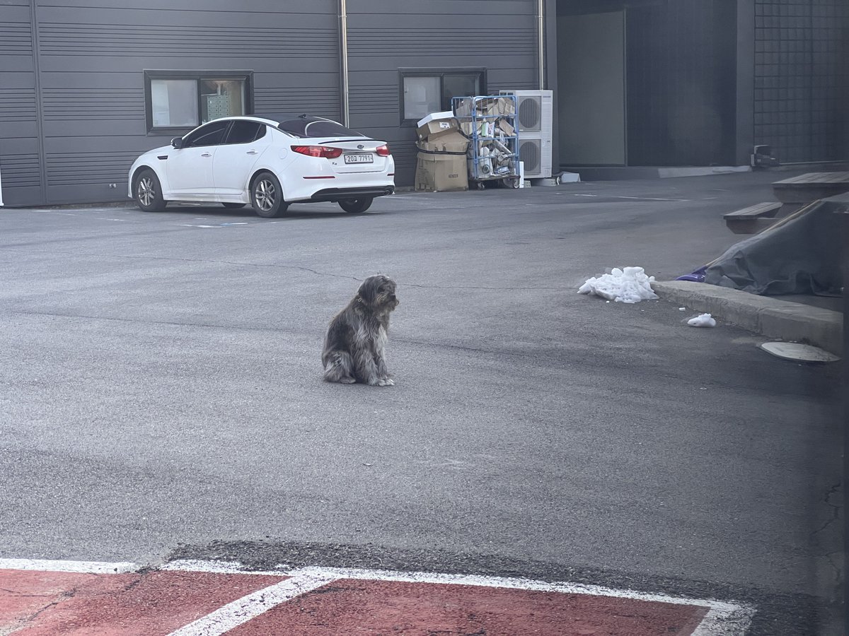 _dorai_'s tweet image. 니 아빠 안 와. 그러니까 추운데 그러고 있지 말고 집에 들어가. 지금 영하 12도야