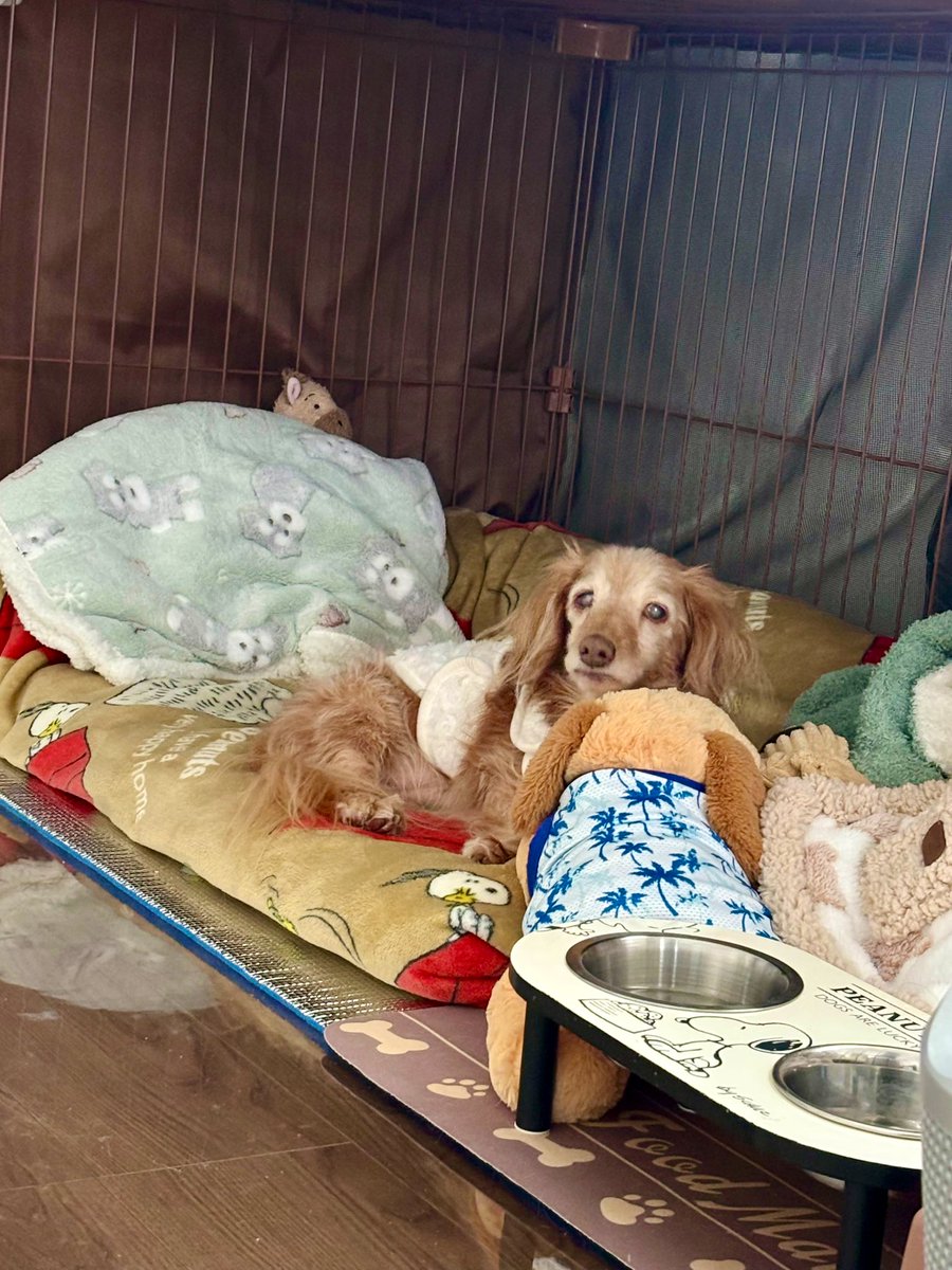 ゆきんこ サマ♡ ゆきんこ🌸 (@Yukinko0520) / Posts / X