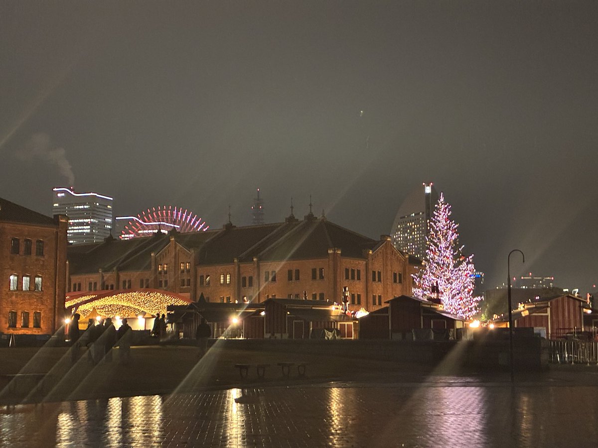 マリーンルージュ、クリスマスクルーズにて演奏させていただきました🎻✨私たちも演奏の合間に、横浜の美しい夜景を楽しませていただきました😊