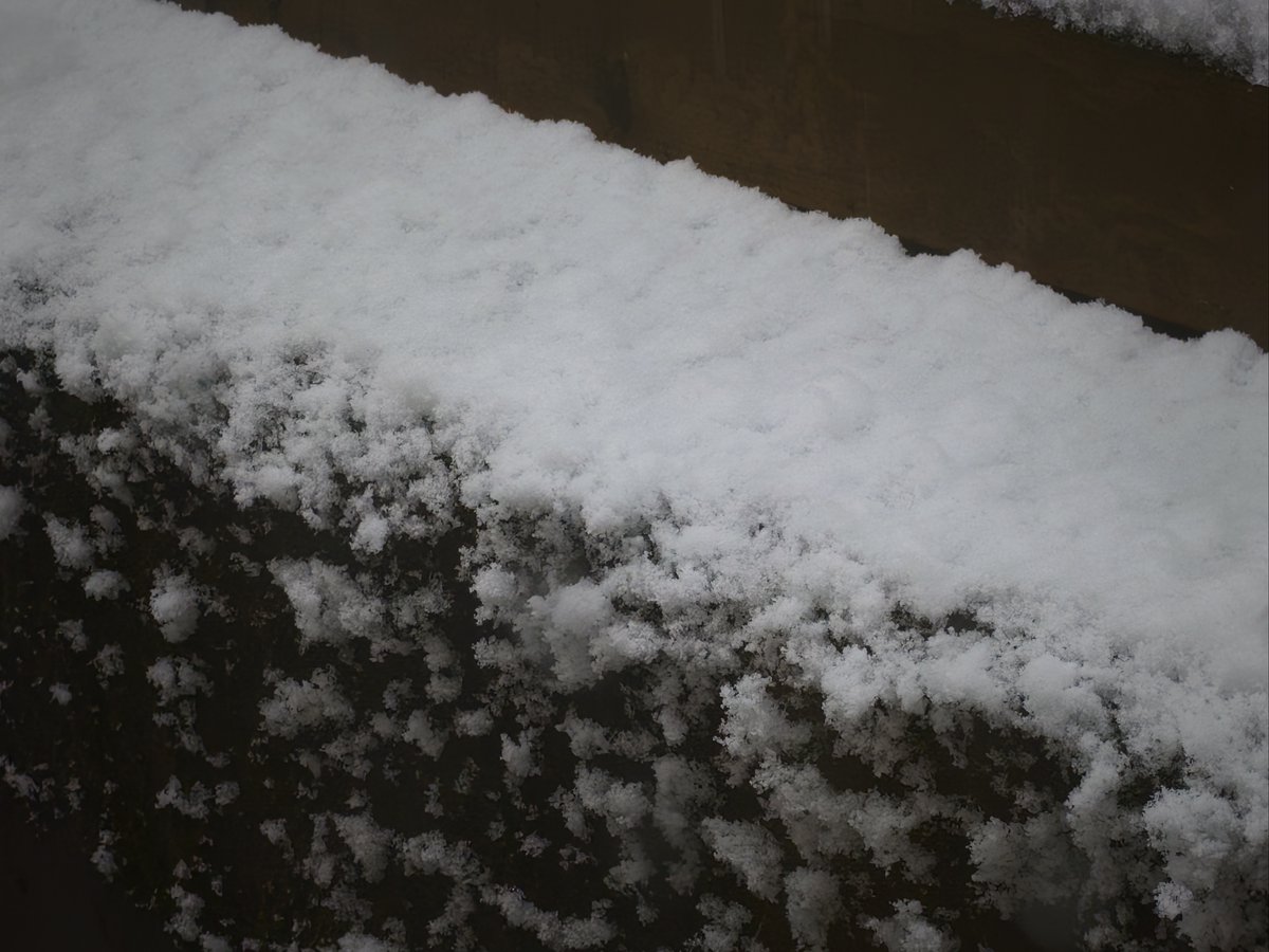 雪、少し積もったわね Shot on Find X9