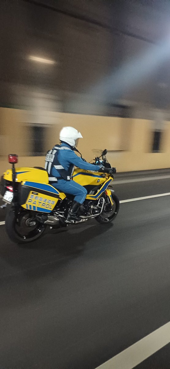 MotoGuzzi乗りケンマッサ (@BXF9Zx3kP4FvDQ2) / Posts / X