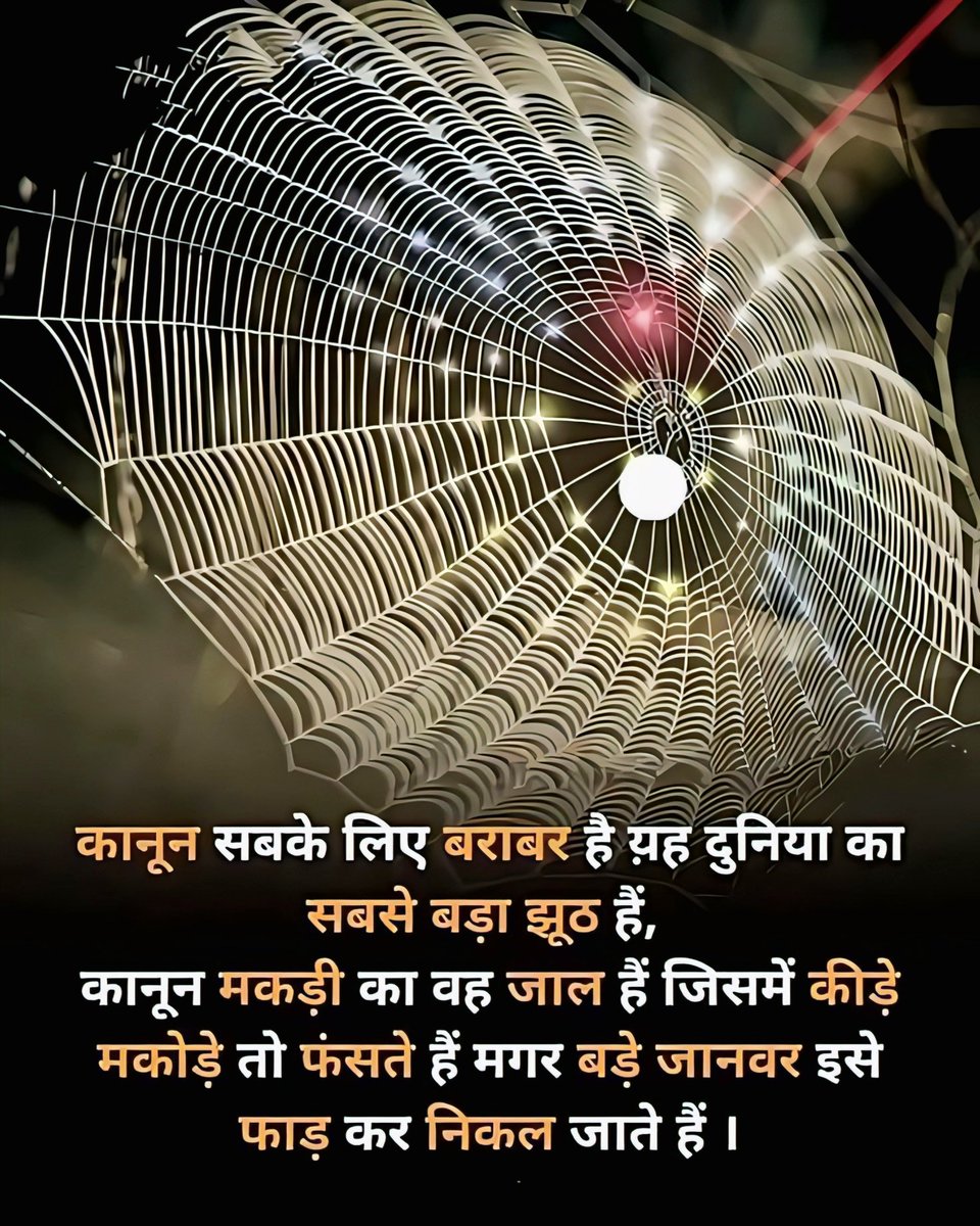 कानून सबके लिए बराबर है यह दुनिया का सबसे बड़ा झूठ हैं, कानून मकड़ी का वह जाल हैं जिसमें कीड़े मकोड़े तो फंसते हैं मगर बड़े जानवर इसे फाड़ कर निकल जाते हैं!!