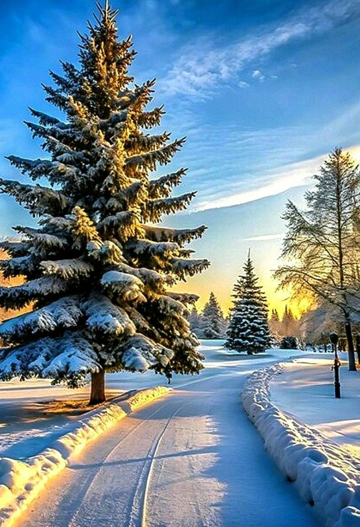 WendyWatson222's tweet image. 