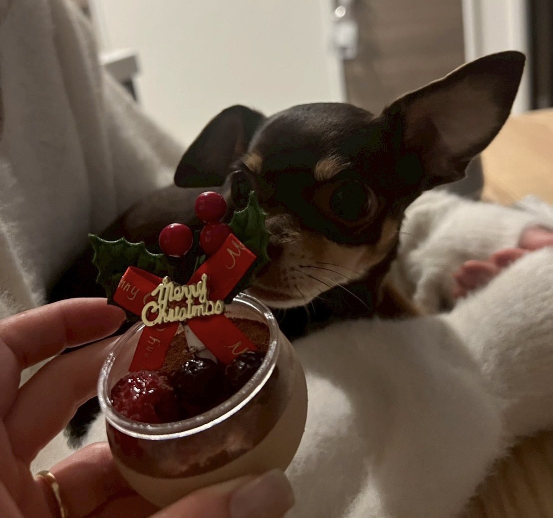 姉のわんぬ🐕