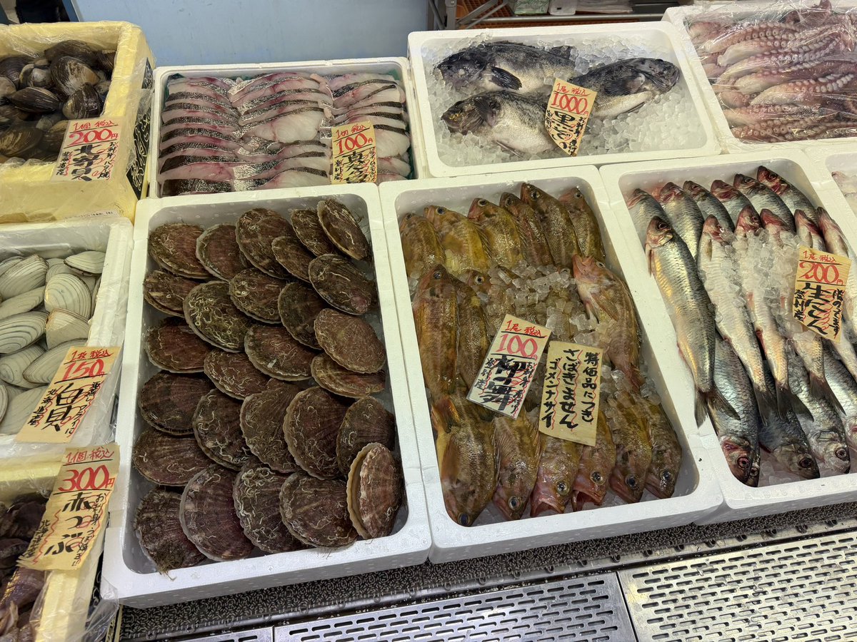 おはようございます🌤️ 12月26日金曜日の対面です🐟 当社で炊いたたこ