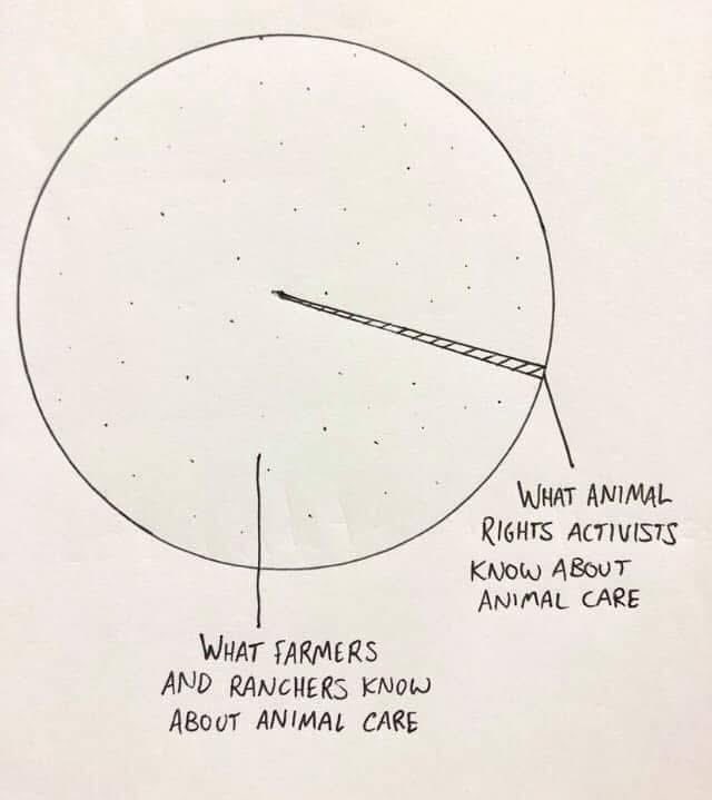 Rothmus's tweet image. 💯