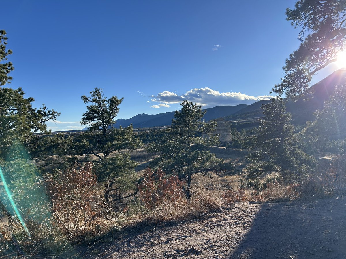 Cecil Stedman’s Lil Gremlin tweet media