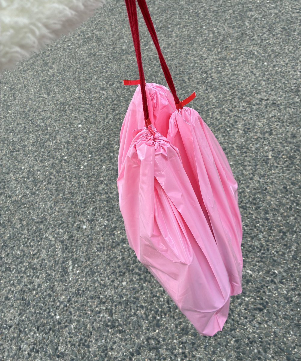 サンエックスのピンクの福袋 我が家が買った袋の中身 10440円→1100円