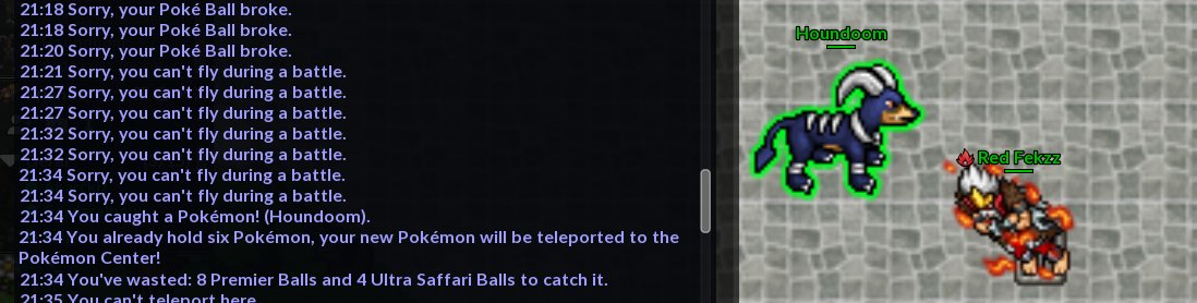 Felippe Corradini tweet media