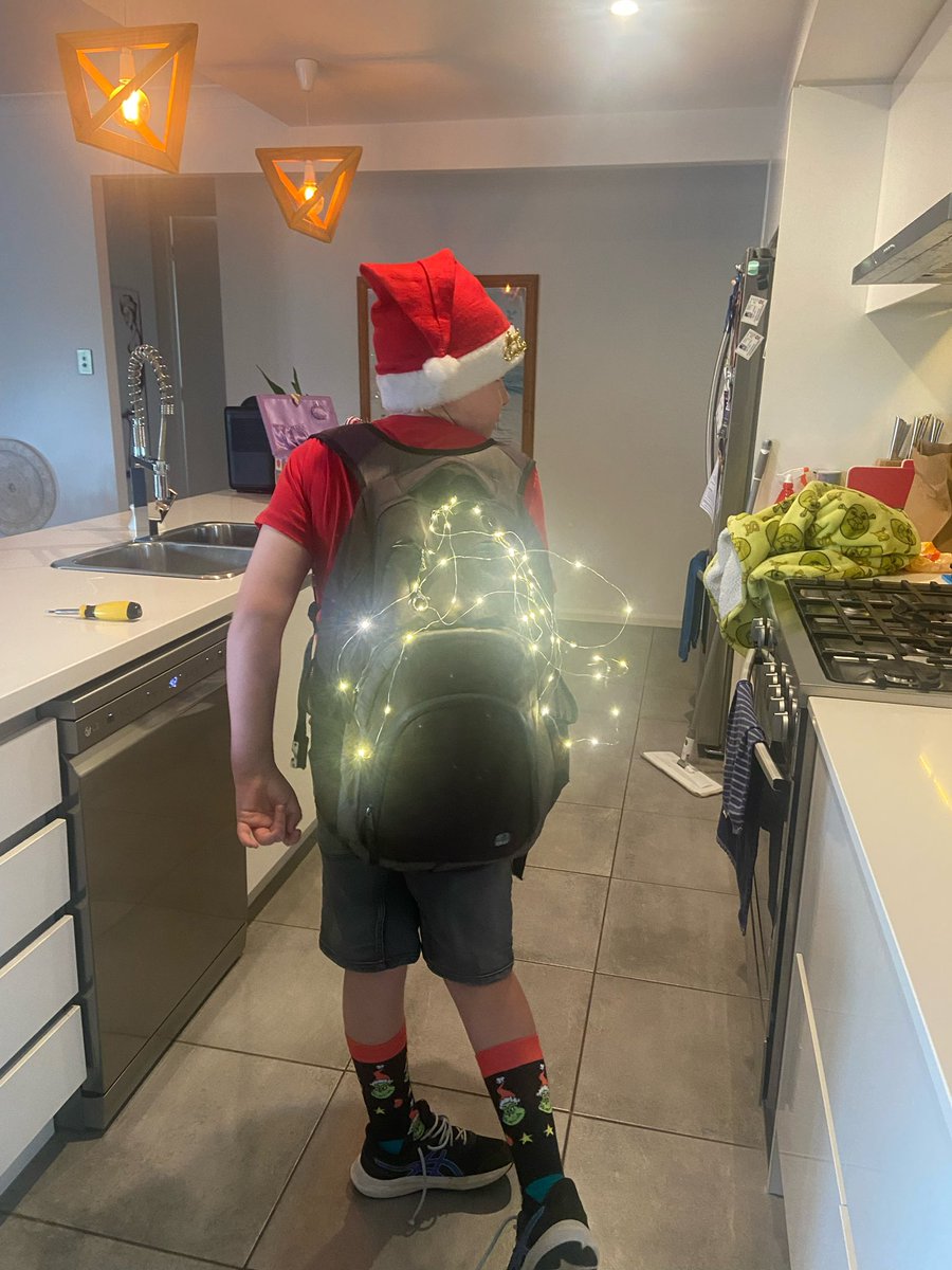 School done for the year. Last day Christmas themed free dress.
