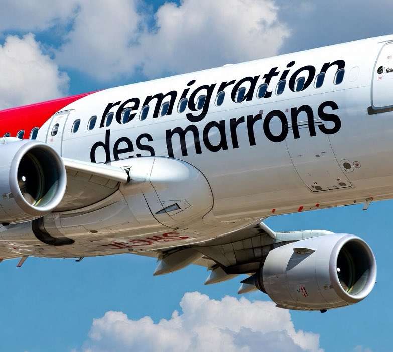 andycapppet's tweet photo. Si on arrivait à dégager les marrons en France, on aurait clairement les mêmes résultats que les USA https://t.co/9IQ5bpilRo