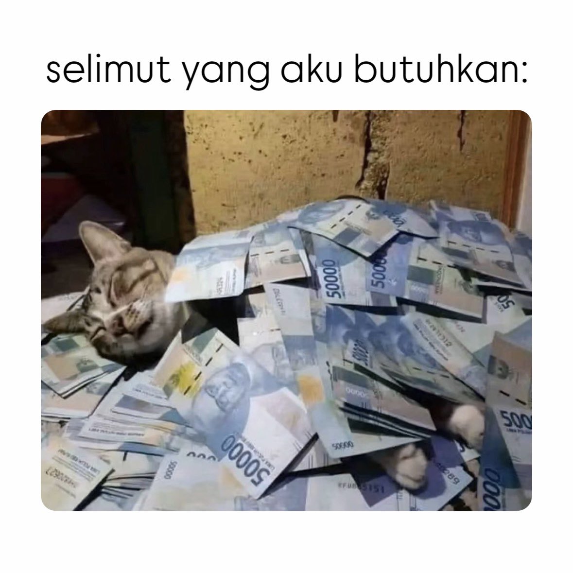 dewirahmat_'s tweet image. 