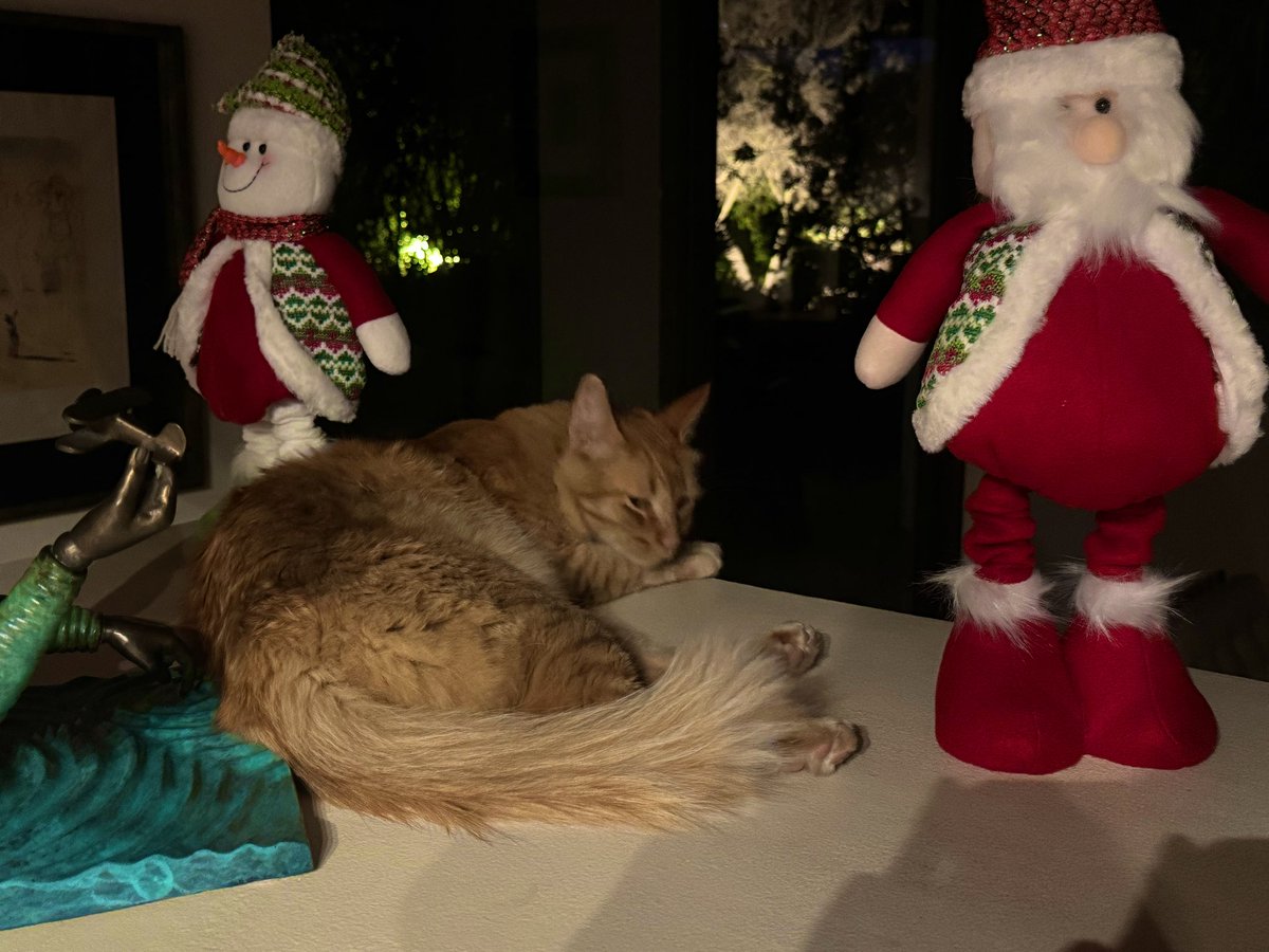 Uno que está muerto de cansado !!!