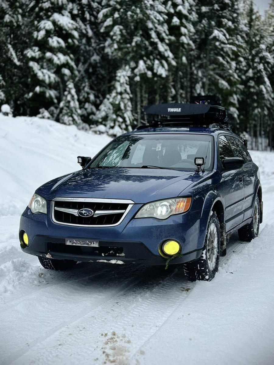 kalimoding's tweet image. white christmas ✅