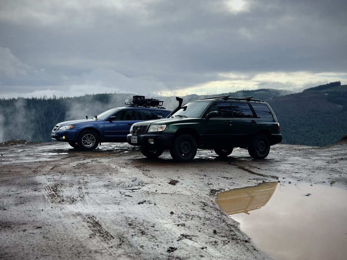 kalimoding's tweet image. white christmas ✅