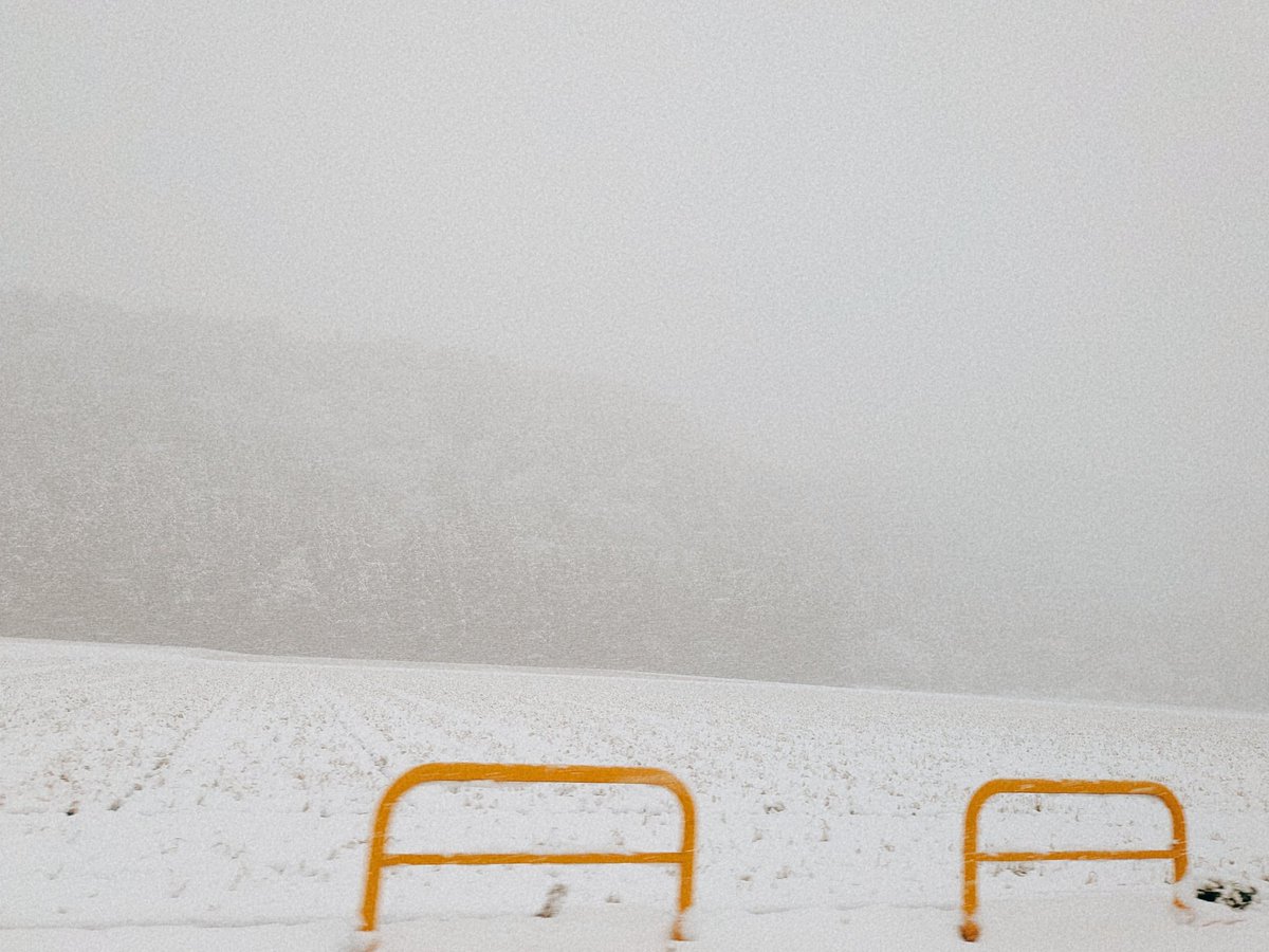 初雪ページ いやぁ雪雪ですなぁ 20日前の初雪で階段すっころんだ痛みが