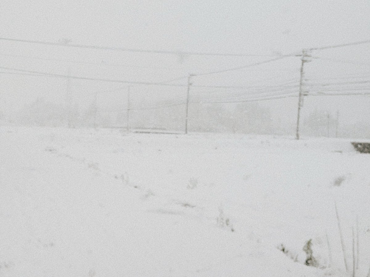 いやぁ雪雪ですなぁ 20日前の初雪で階段すっころんだ痛みが