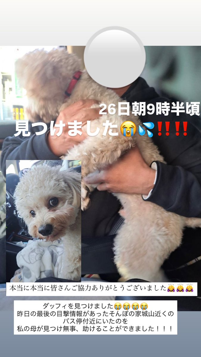 mona (@yf3sy) / Posts / X